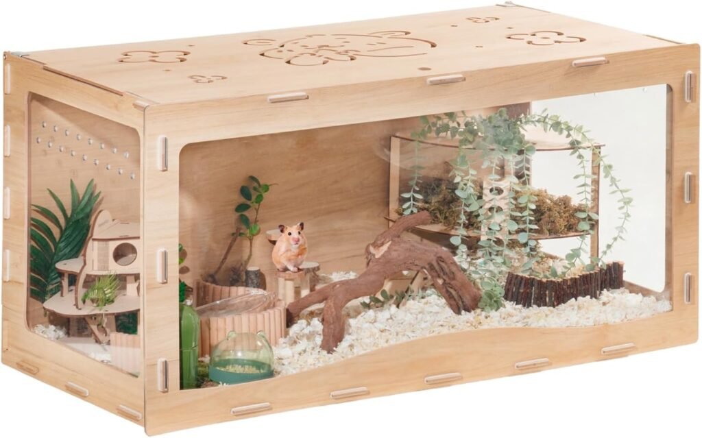 Hamster Cage Setup for Beginners