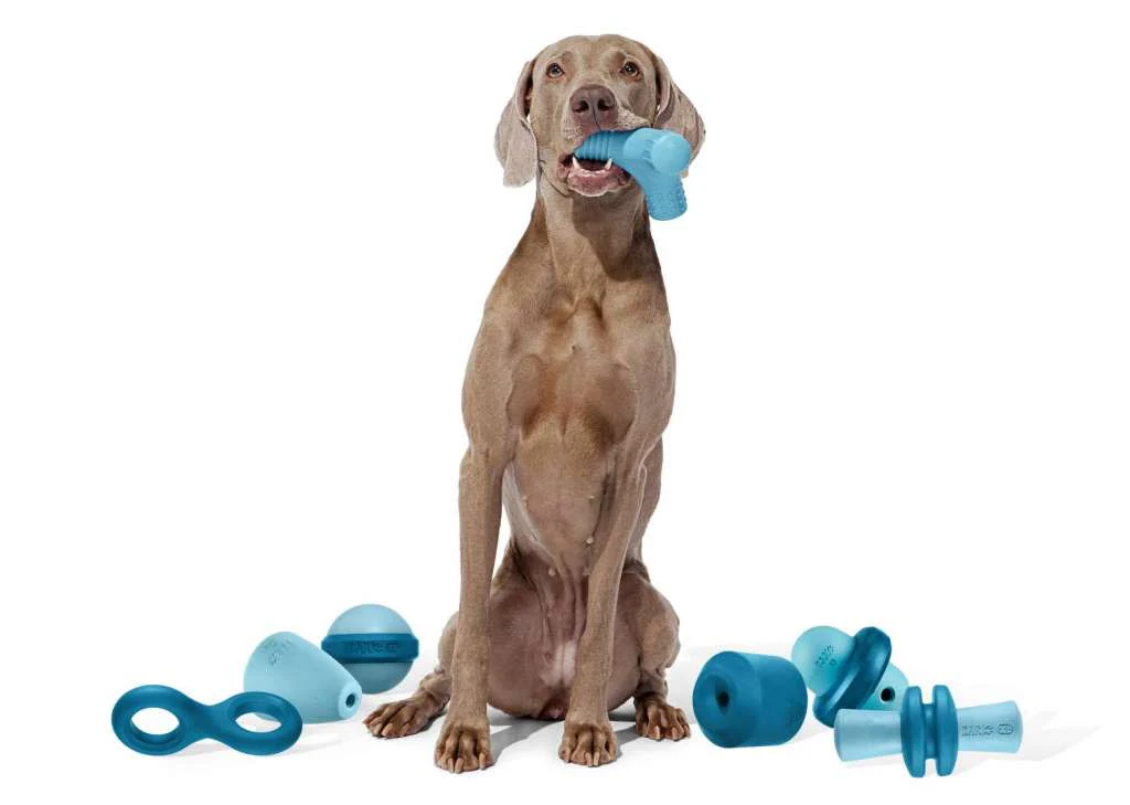 Best Chew Toys for Aggressive Chewers