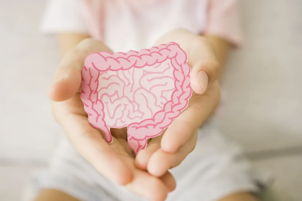 Best Probiotic for Women's Gut Health
