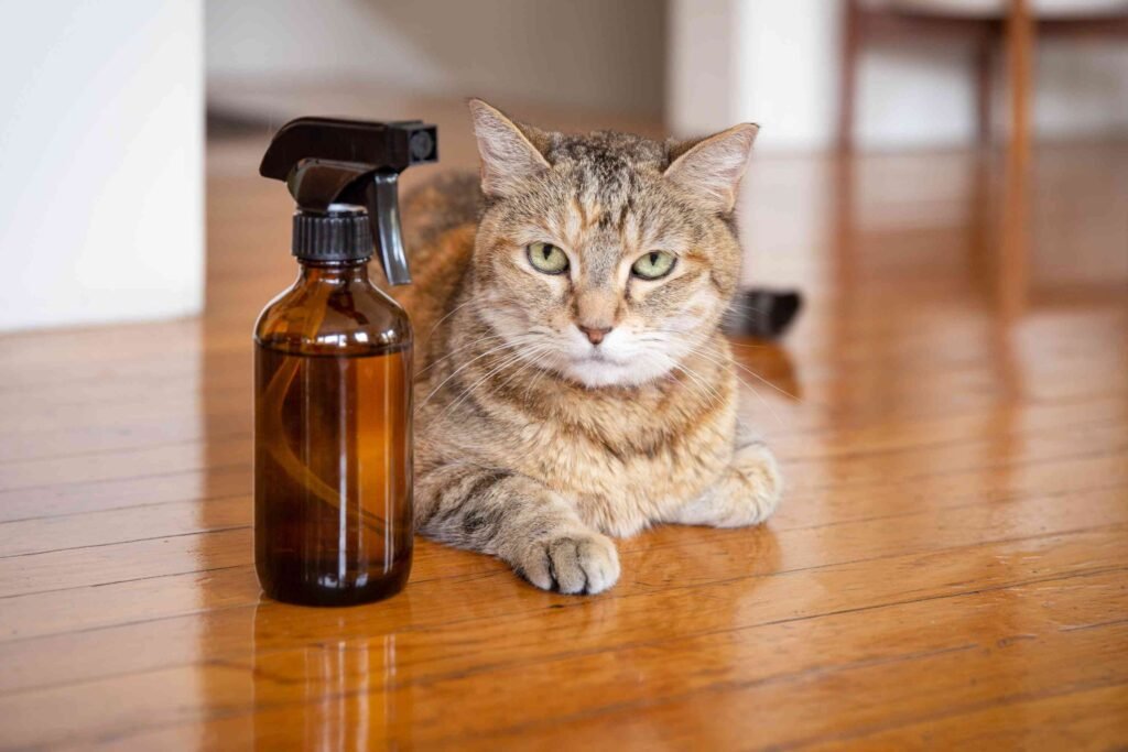 Natural Flea Treatment for Cats at Home