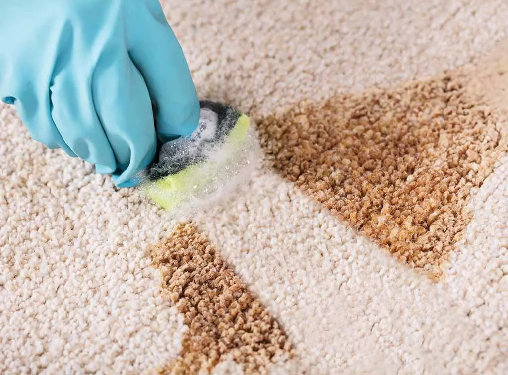 Remove Candle Wax from Carpet Baking Soda